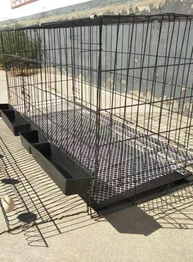 加粗自动滚蛋折叠铁丝网养殖笼