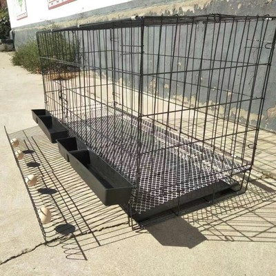 加粗自动滚蛋折叠铁丝网养殖笼