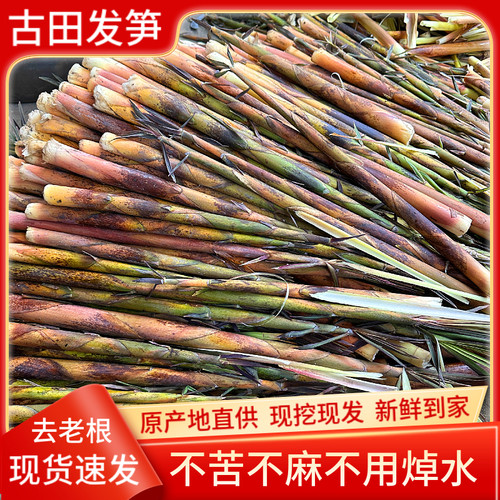 发笋哈笋不苦不麻不涩