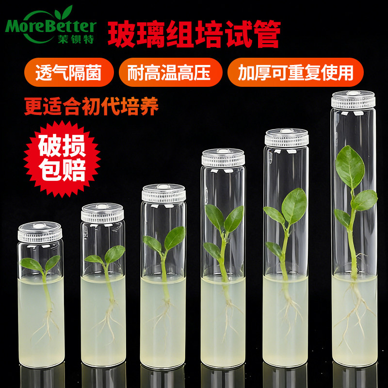 茉钡特玻璃组培试管 高硼硅 耐高温高压灭菌带透气盖初代培养瓶子
