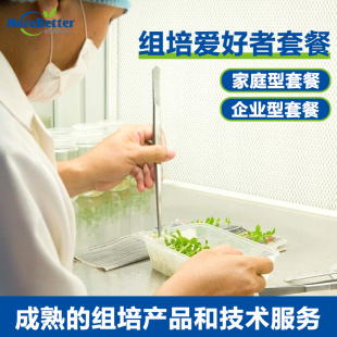 植物组织培养组培爱好者家庭套餐 组培小规模设备套餐 组培预实验