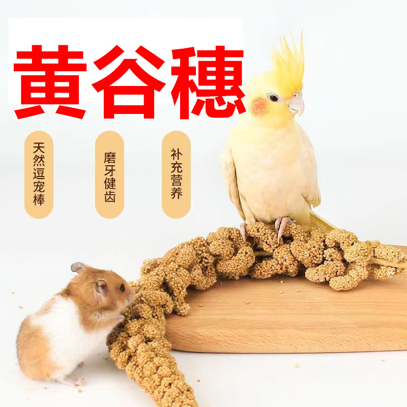 鹦鹉零食棒谷穗麦穗谷子鸟粮饲料训练奖励小零食虎皮玄凤牡丹专用