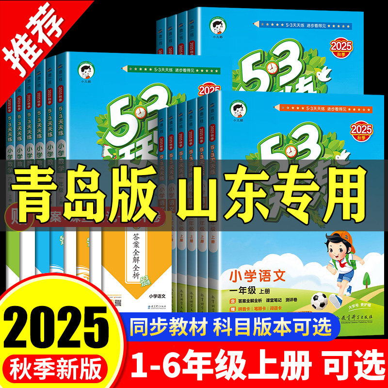 53天天练青岛版QD山东专用