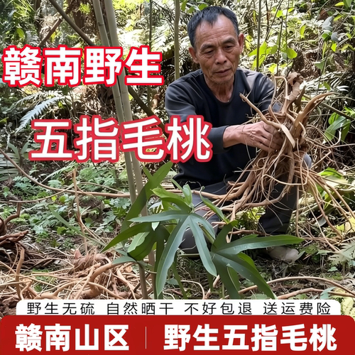 赣南大山野生无硫五指毛桃
