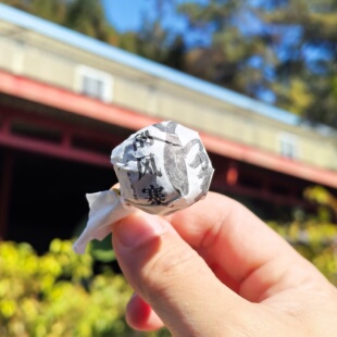 2025年 刮风寨春茶混采龙珠20颗 普洱茶生茶