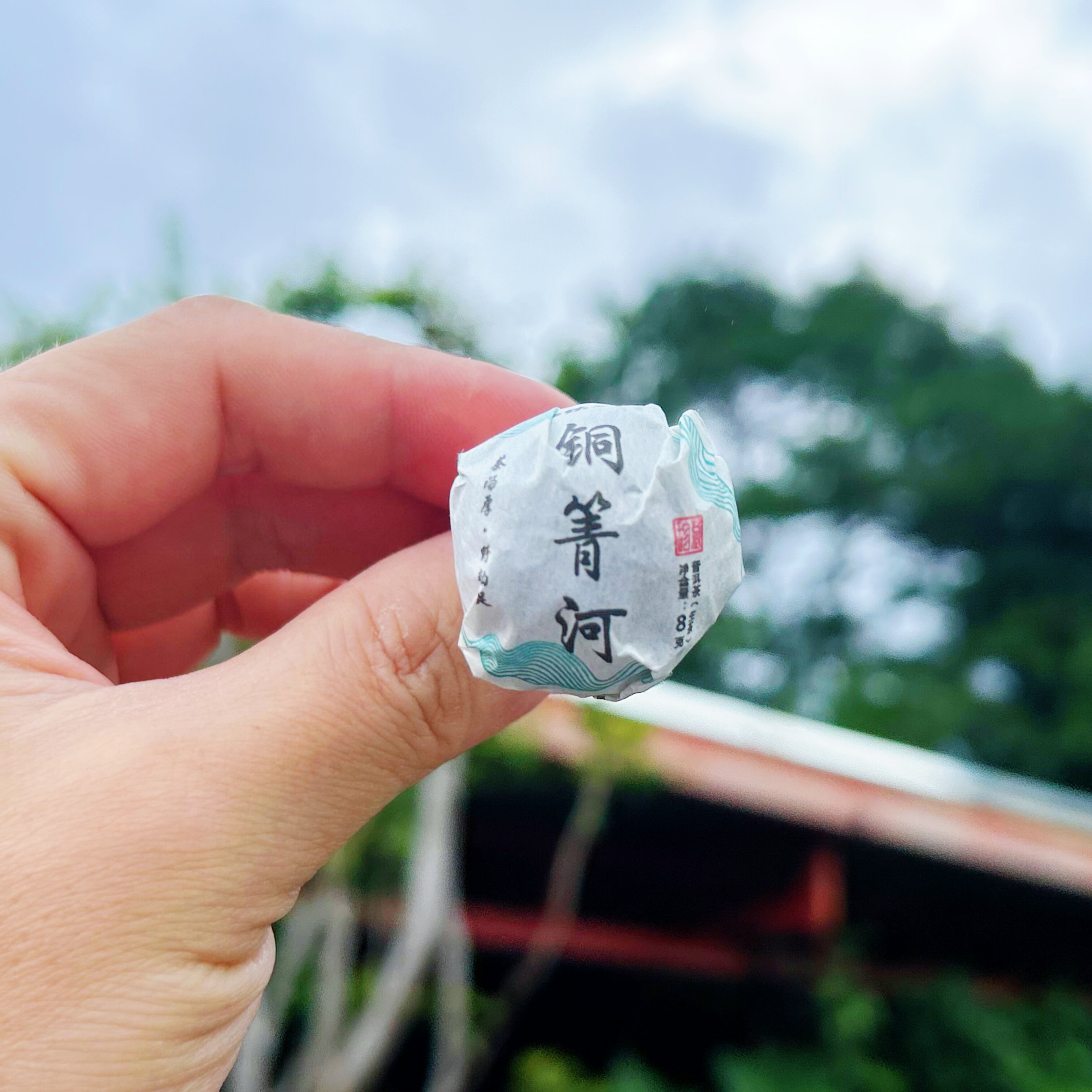 2025年 铜箐河古树龙珠 20颗装普洱茶生茶