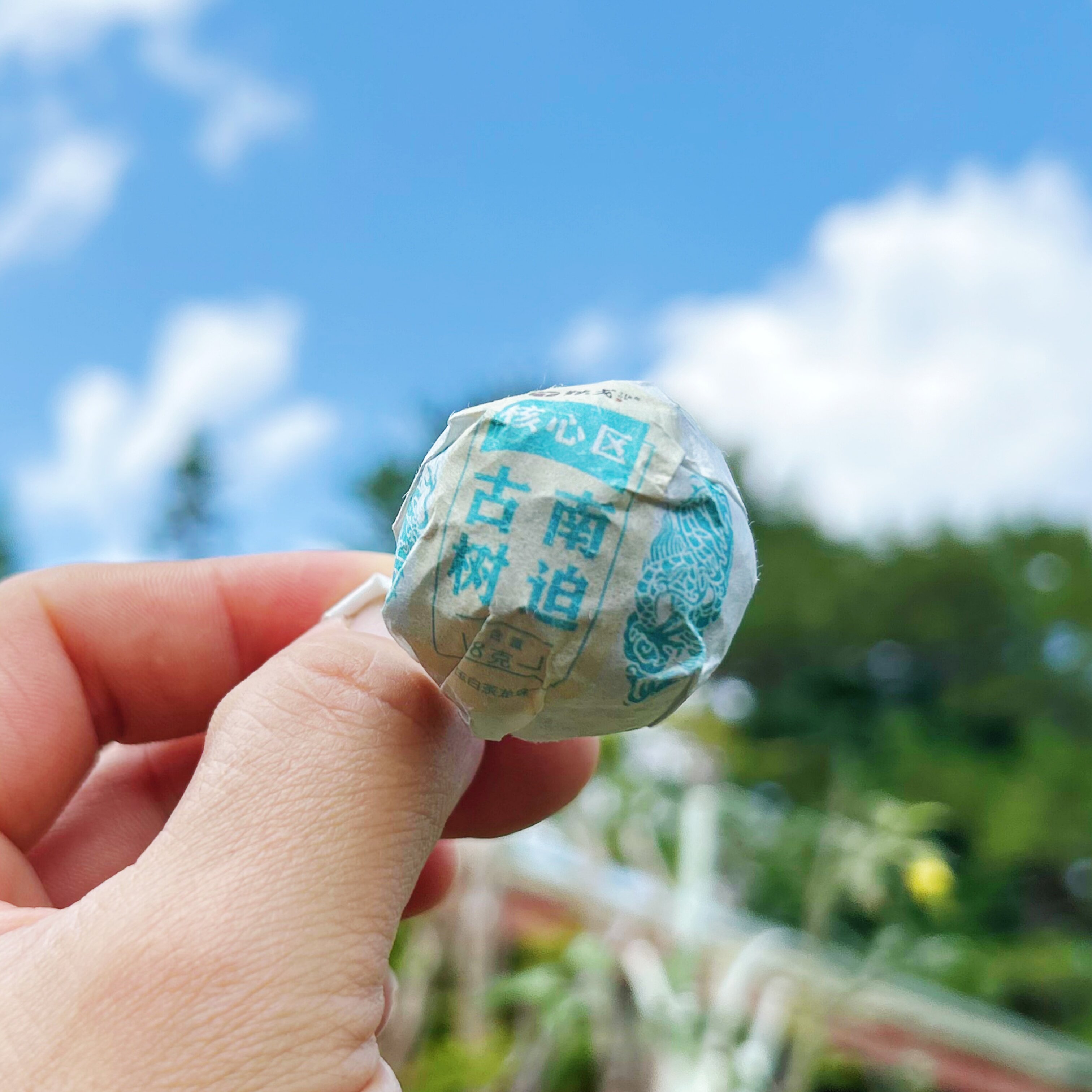 2026年 冰岛南迫春茶古树白茶龙珠12颗装 普洱茶白茶