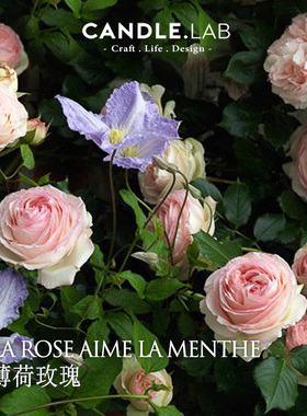 CANDLE.LAB | 薄荷玫瑰香料DIY香薰石膏香薰蜡烛用扩香香薰精油