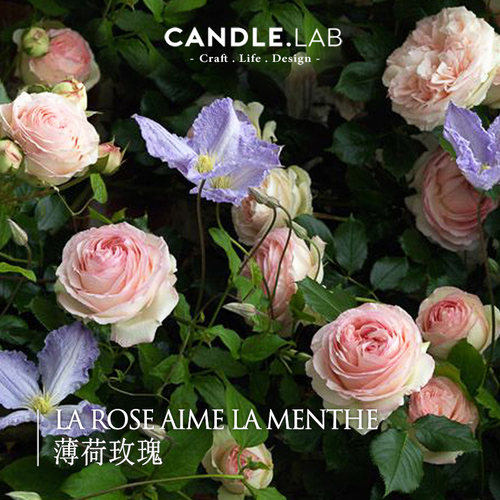 薄荷玫瑰diy香薰蜡烛石膏精油