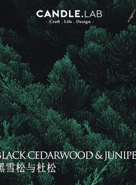 CANDLE.LAB | 黑雪松与杜松香料DIY香薰石膏蜡烛扩香材料香薰精油