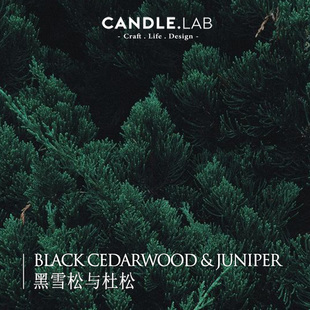 CANDLE.LAB 黑雪松与杜松香料DIY香薰石膏蜡烛扩香材料香薰精油