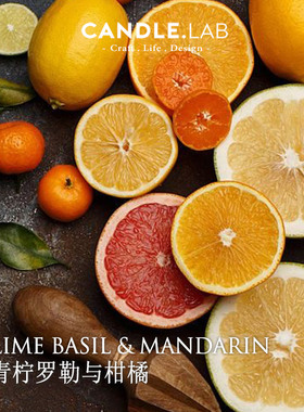 CANDLE.LAB | 青柠罗勒与柑橘香料DIY香薰石膏香薰蜡烛香薰精油M3