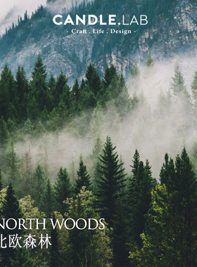 CANDLE.LAB | 北欧森林DIY香薰石膏蜡烛扩香材料香薰精油
