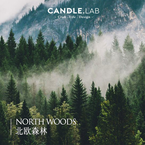 北欧森林diy香薰蜡烛石膏精油