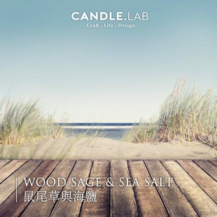 CANDLE.LAB 鼠尾草与海盐香料DIY香薰石膏蜡烛扩香石香薰精油24