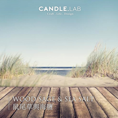 CANDLE.LAB | 鼠尾草与海盐香料DIY香薰石膏蜡烛扩香石香薰精油24