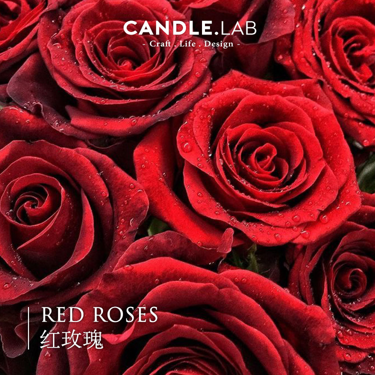 CANDLE.LAB | 红玫瑰香料DIY香薰石膏蜡烛蜡片扩香石香薰精油24,家居饰品,香薰DIY材料/工具,淘宝优惠券,粉丝福利购,淘宝优惠卷