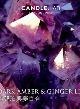 CANDLE.LAB | 黑琥珀与姜百合香料DIY香薰石膏蜡烛扩香香薰精油24