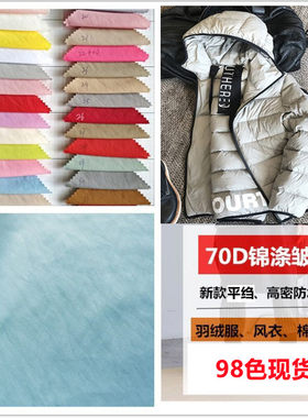 中厚平绉1656锦涤皱棉服风衣布料