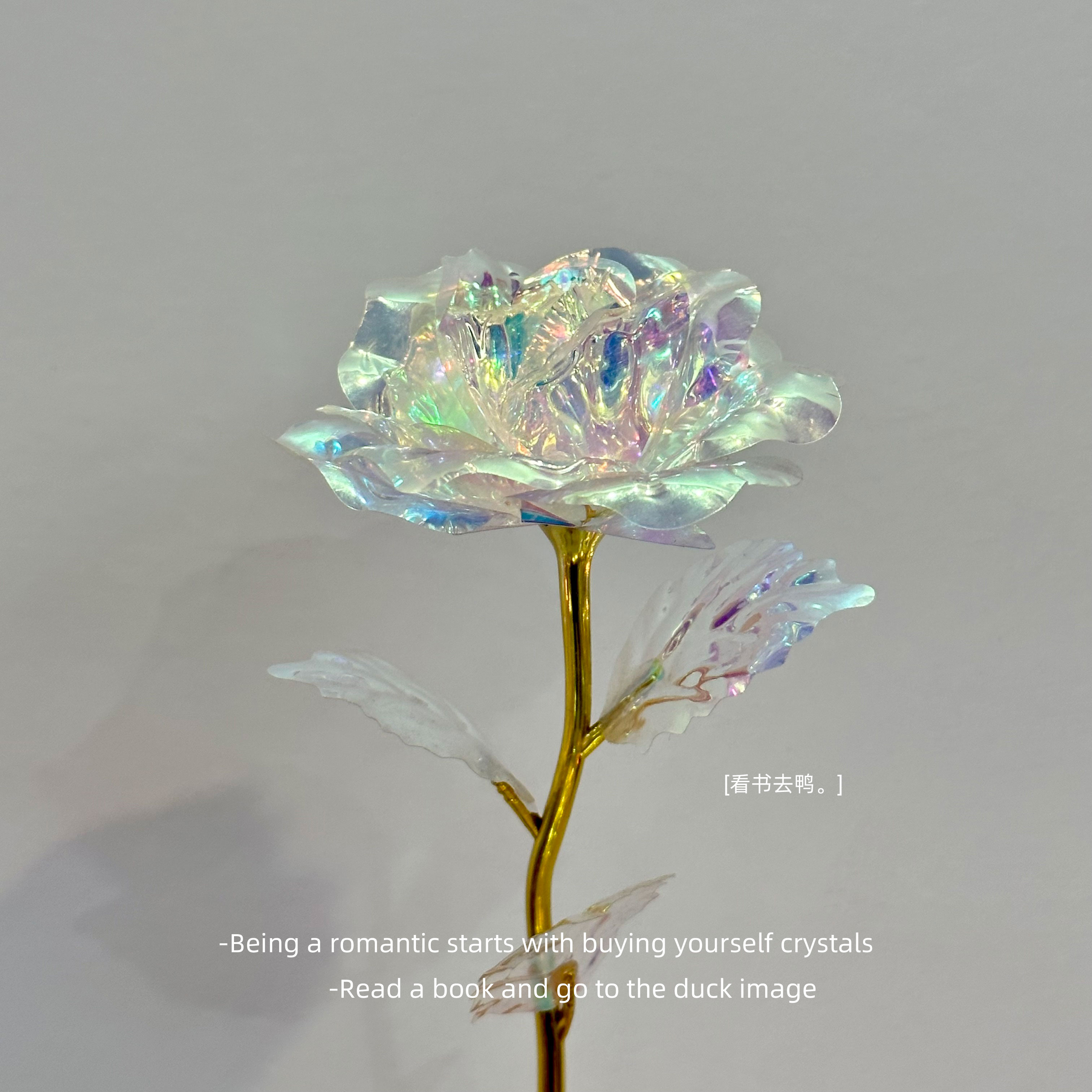 晨露吻过的绯红花瓣 藏着不褪色的浪漫誓言 我愿化作一朵玫瑰予你