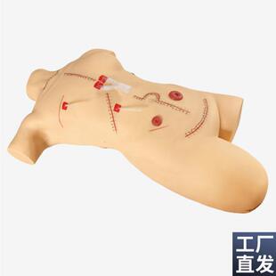 外科缝合包d扎清创训练模型外科清创缝合展示模型拆线换药操作训