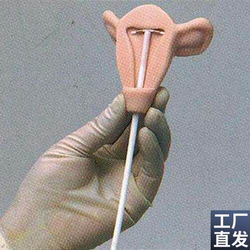 高级宫内避孕训练模型女.性练习模具
