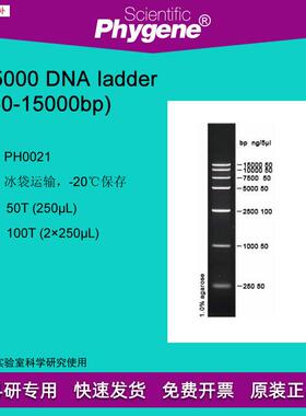DNAladdeGr(250-15000bp)100TDNAMarker[PH0021PHYGENE]