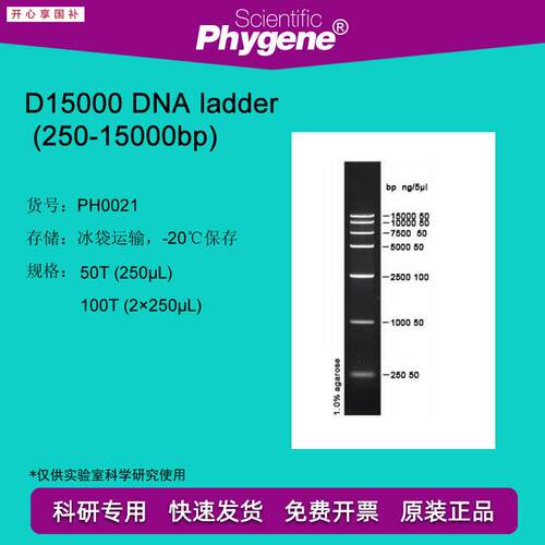 DNAladdeGr(250-15000bp)100TDNAMarker[PH0021PHYGENE]