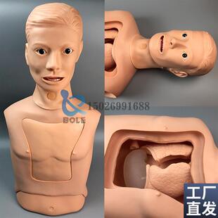 鼻胃管与气管护理模型鼻饲管模具B切开吸痰训练气管插管洗胃插胃