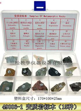 15种变质岩标本三大类岩石物质e成分迁移重结晶地理地质学教具