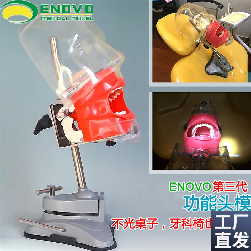 ENOVO正品口腔科仿生头模系A统齿科备牙牙医培训牙科头模牙齿模型