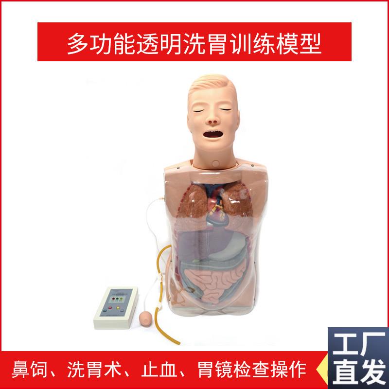 多功能透a明洗胃训练模型鼻饲洗胃术止血吸痰胃镜检查操作人体模