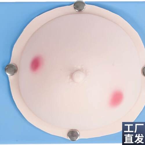 乳腺脓肿切开操作模型乳腺脓肿W检查训练模型