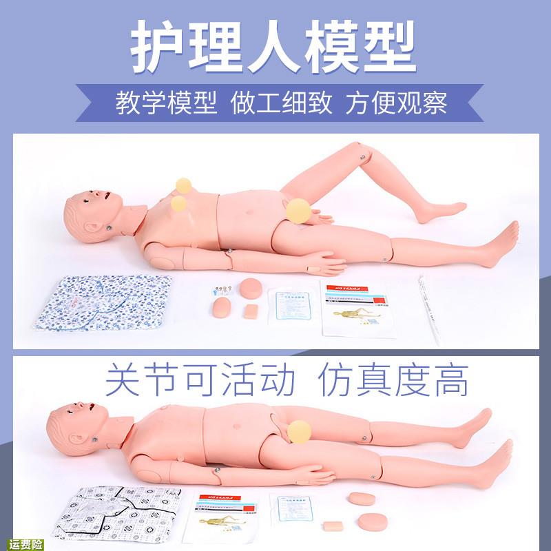 女性护理人模型成年老年人养老护理培训月嫂催乳师教具护理模型