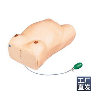 怀孕检查模型电子检查人 妇科检查模型 高级孕妇检查模i型GD FW1