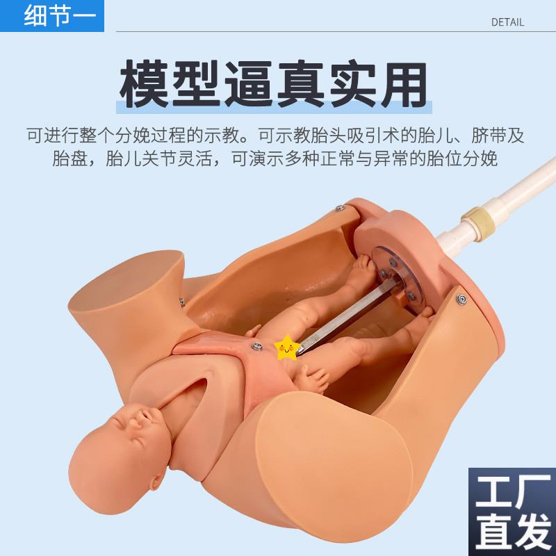手摇分娩机e转模型分娩机制教具妇产科助产示教模型孕妇分娩模型