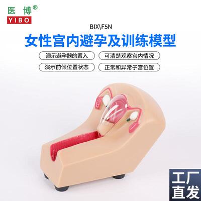 医博BIX-F5Ng女性宫内避孕器训练模型子宫生殖器官教学模具上环取