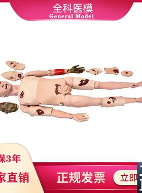 全功能创伤护理人模型止血包扎急救模特医学用人体R模型GM/H111
