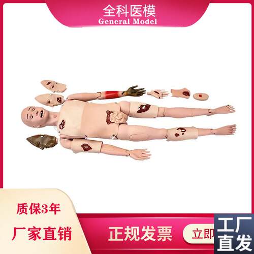 全功能创伤护理人模型止血包扎急救模特医学用人体R模型GM/H111