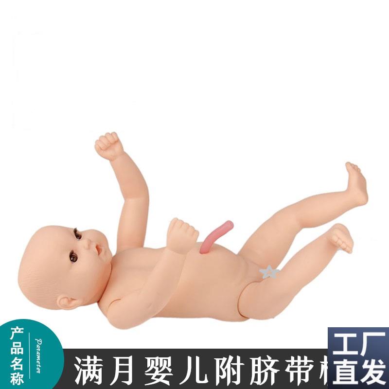高级出生婴儿附脐带u模型婴儿模型月嫂家政培训娃娃