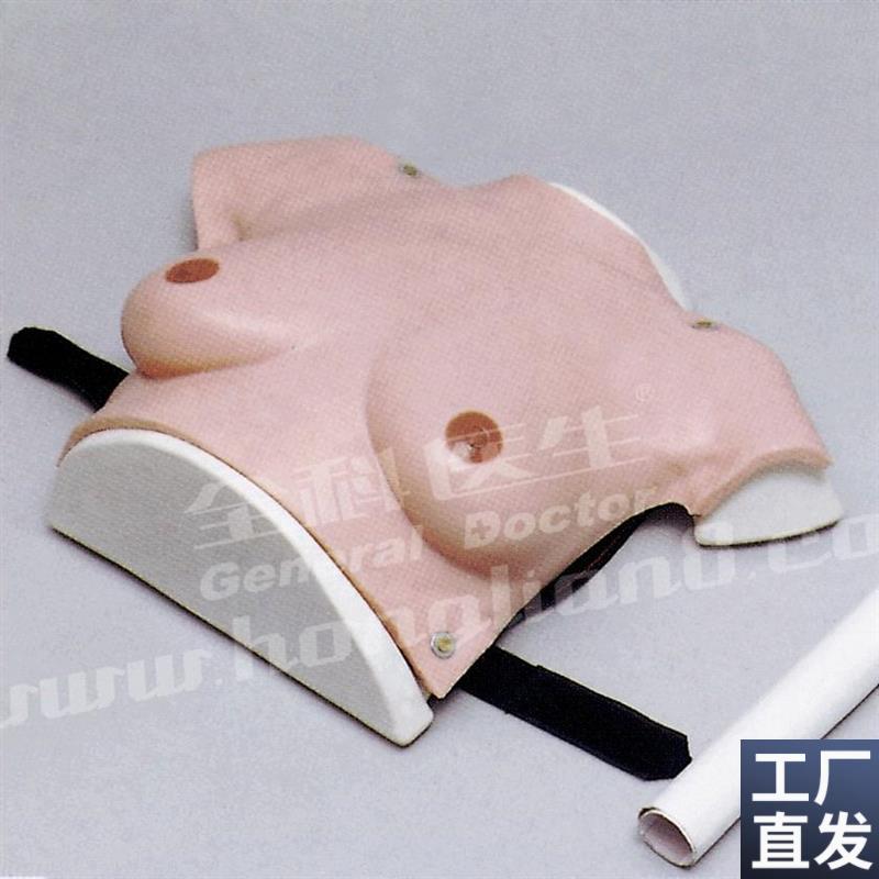 高级着装a式乳房自检模型GD/F7C/女性乳房检查模型/乳腺自检模型