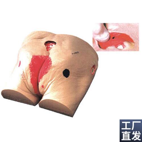 褥疮护理模型高j级老年人褥疮压疮护理模型医学用教学模型教具