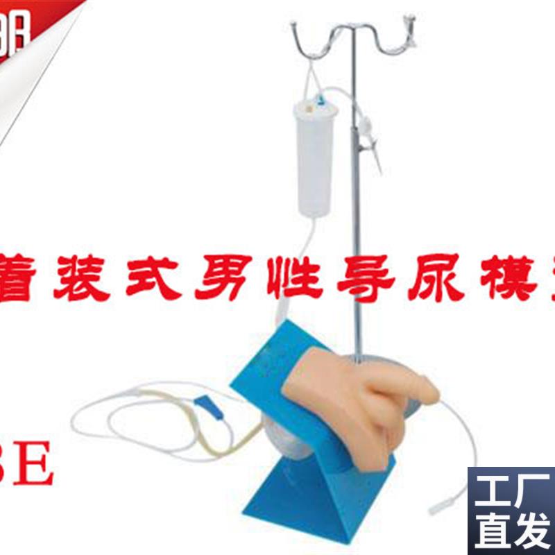 男性着装式导尿模型导尿训练模型导尿O模型医学教学模型