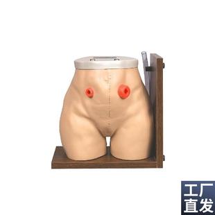 瘘管造口术护理模型结肠回肠造瘘口冲洗教L学家政培训训练假人模