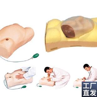 怀孕检查模型 妇科检查模型V 高级电脑孕妇检查模型GD FW2