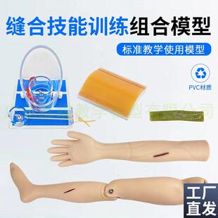高级外科手臂腿部下o肢缝合训练模型肠管吻合缝合打结腿部包扎