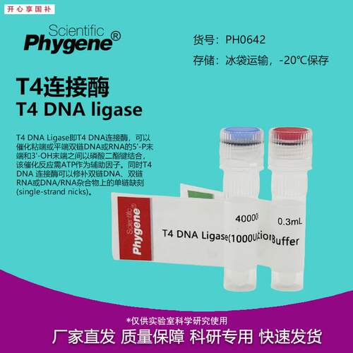 T4DNA连接酶T4连接酶T4TDNALigase40000U[PH0642PHYGENE]