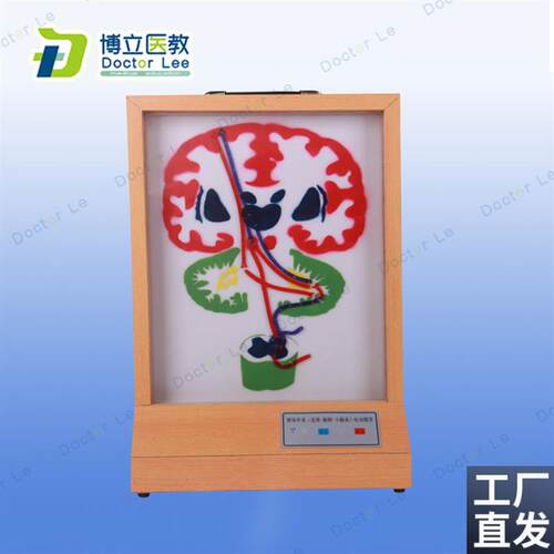 锥体外系(皮质-v脑桥-小脑系)电动模型