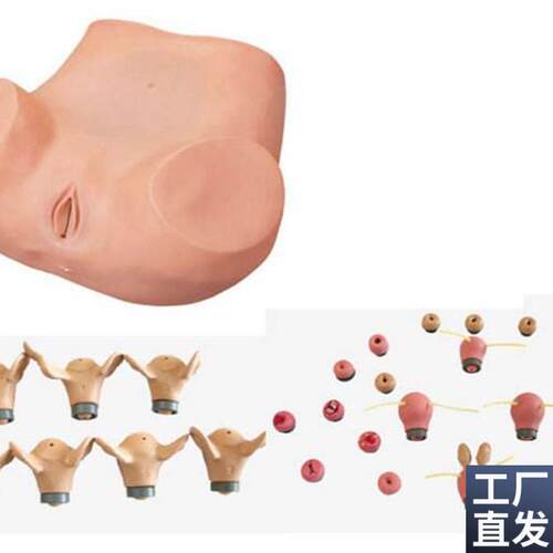 高级妇科b综合检查训练模型