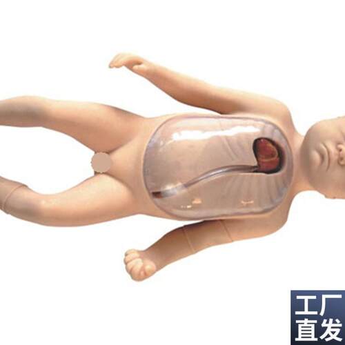 新生儿外周中心静脉插管模型医学教E学模型外周中心静脉插管模型